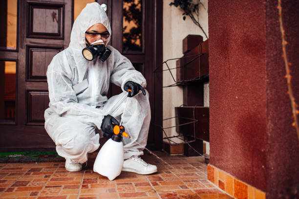 Reliable Mosquito Control contractor in Northchase, NC by Show Me Pest Control